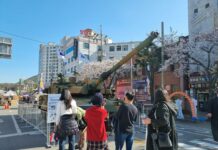 제61회 진해군항제에 ‘탱크’가 나타났다