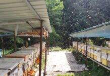 경남 양봉농가, 꿀벌사육 회복세!