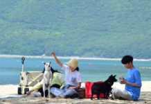 뜨거운 여름, 이번 여름휴가는 경남에서