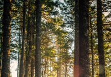 2023년, 최신 운동 트렌드로 떠오르는 5가지 화제