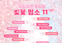 새소리 들으며 고즈넉한 벚꽃길을 걸어보세요!