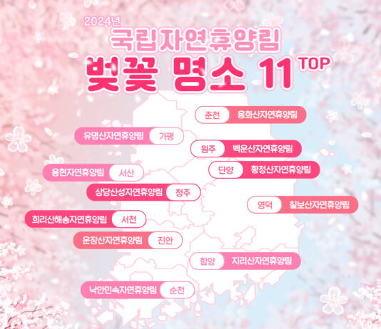 새소리 들으며 고즈넉한 벚꽃길을 걸어보세요!