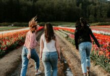 봄의 걷기, 생명력을 되찾는 자연의 선물 thee women walking between orange flower field