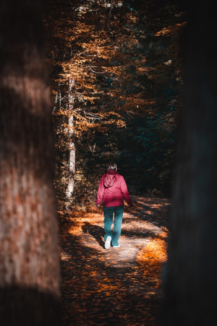Photo by Nicolas Gamboa woman in red jacket and blue denim jeans walking on forest during daytime