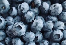 노화의 속도를 늦추는 항산화 식품 black round fruits on white surface