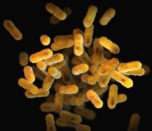 유산균, 이제는 맞춤형 시대…MZ세대의 장 건강 집착 a close up of a bunch of small yellow things